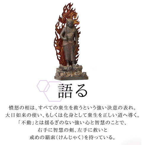 イスム TanaCOCORO 不動明王立像.|s4